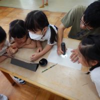 さくら組（５歳児）今週の１場面