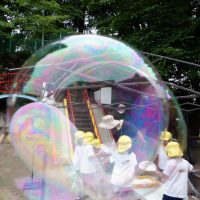 たんぽぽ組（４歳児）　今週の１場面