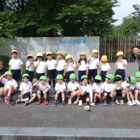 さくら組・いちょう組（５歳児）先週・今週の一場面
