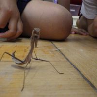 れんげ組（4歳児）今週の一場面