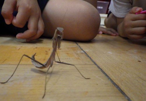 れんげ組（4歳児）今週の一場面
