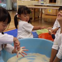 ひまわり組（3歳児）今週の一場面