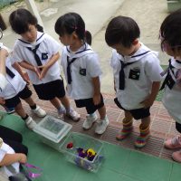 れんげ組（4歳児）今週の一場面