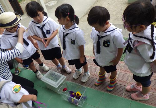 れんげ組（4歳児）今週の一場面