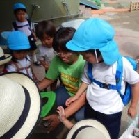 ちゅうりっぷ組（３歳児）今週の一場面