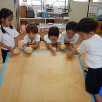 ちゅうりっぷ組（３歳児）今週の一場面