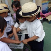 れんげ組（4歳児）今週の一場面