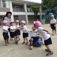 ひまわり組（3歳児）今週の一場面