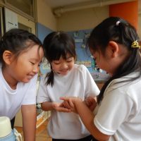 さくら組（５歳児）今週の１場面