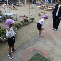 れんげ組（４歳児）今週の一場面