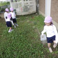 れんげ組（４歳児）今週の一場面