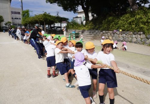 いちょう組（５歳児）今週の一場面