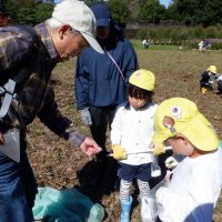 たんぽぽ組(４歳児)　今週の１場面