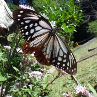 10月23日　今日の１場面