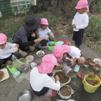 ひまわり組（３歳児）今週の一場面
