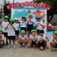 さくら組（５歳児）今週の１場面