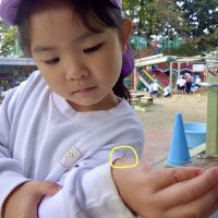 れんげ組（４歳児）今週の一場面