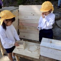 いちょう組（５歳児）今週の一場面