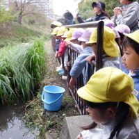 たんぽぽ組（４歳児）　今週の１場面