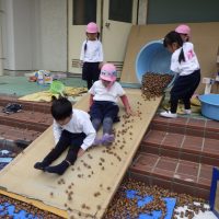 ひまわり組（３歳児）今週の一場面