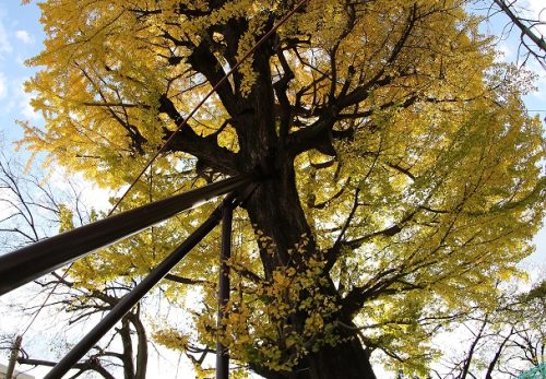 教育委員会の事務局長さんがご来訪！