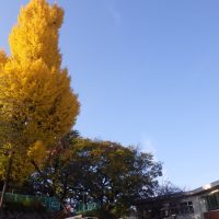 れんげ組（４歳児）今週の一場面