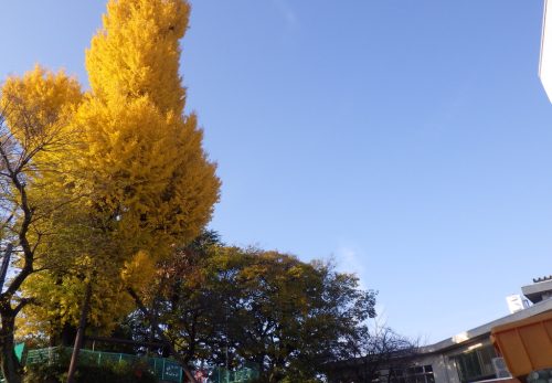 れんげ組（４歳児）今週の一場面