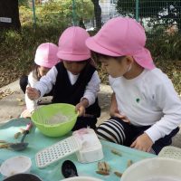 ひまわり組（３歳児）今週の一場面