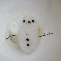 さくら組（５歳児）今週の１場面