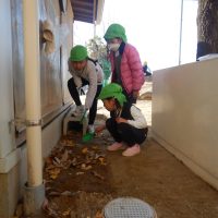 今週の１場面　さくら組（５歳児）