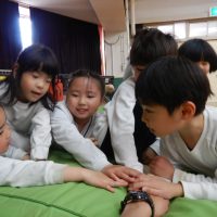 さくら組（５歳児）今週の１場面　