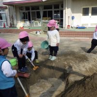 ひまわり組（３歳児）今週の一場面