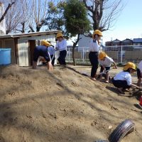 いちょう組（５歳児）今週の一場面