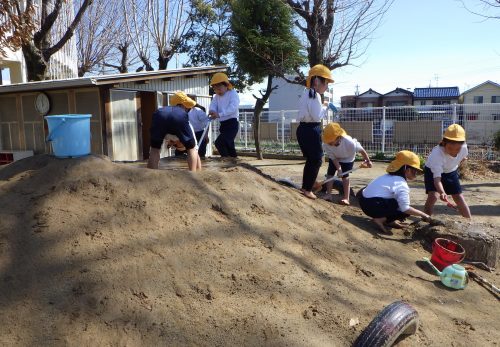 いちょう組（５歳児）今週の一場面