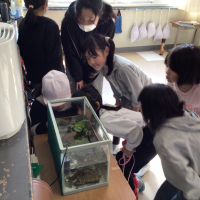 6年生ボランティアがふるさとの淡水魚を紹介！「方県水族館」