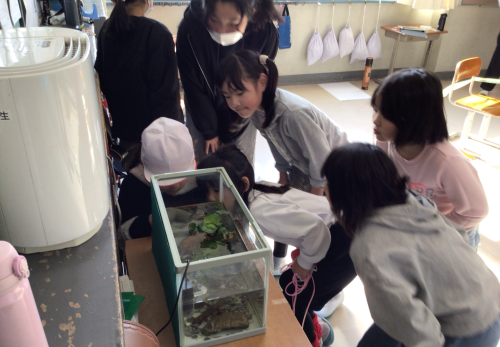 6年生ボランティアがふるさとの淡水魚を紹介！「方県水族館」