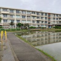 まるで池のよう