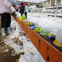 雪で楽しみました　１年生