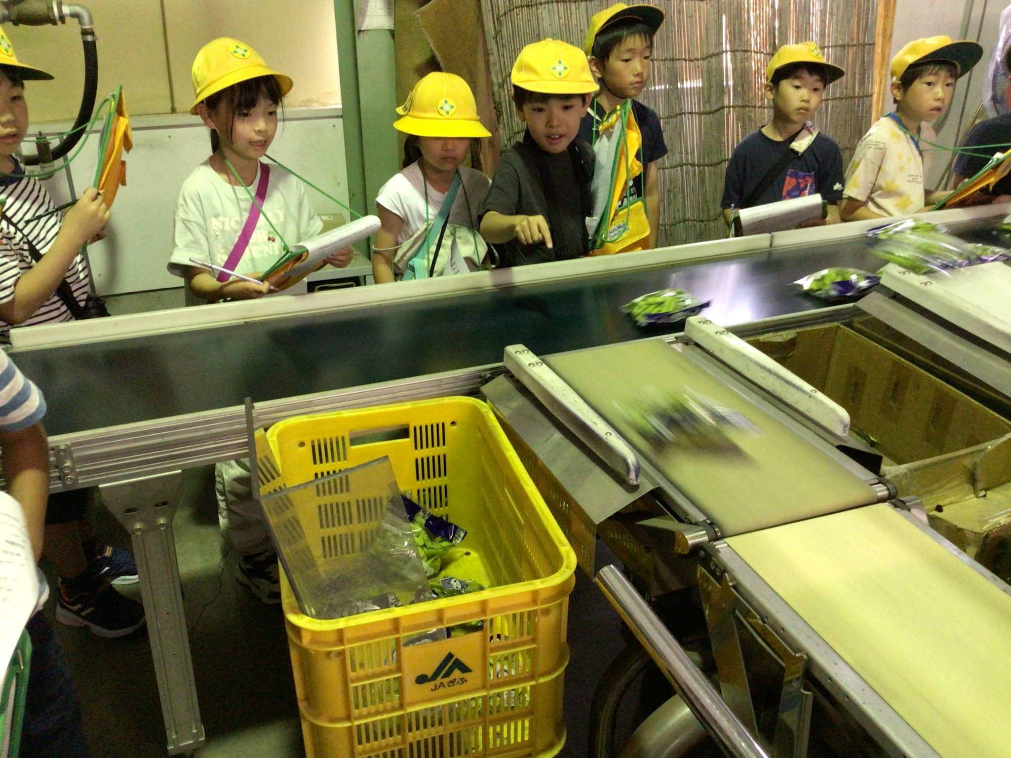 3年生 社会見学 岐阜市立明郷小学校