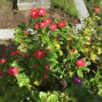 第2回学校支援推進委員会