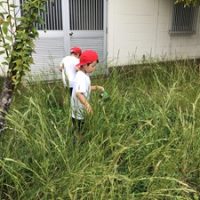 生活科～運動場の周りや教材園で虫とりをしました