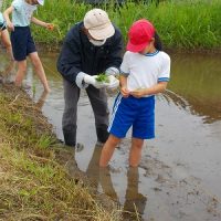 田植え　５年生