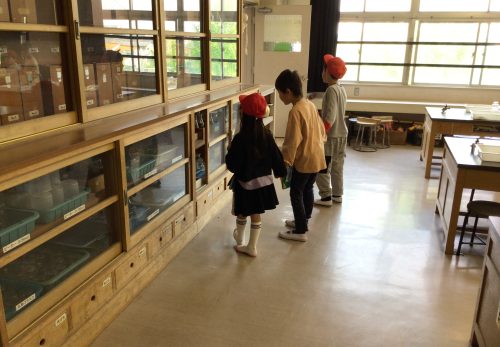 １年生は２年生と一緒に学校を探検しました