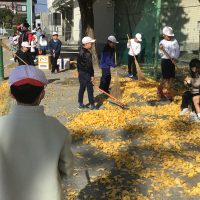 落ち葉拾いボランティア