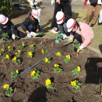 校章園花植え