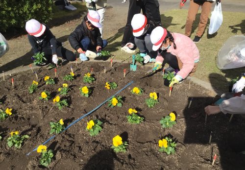 校章園花植え