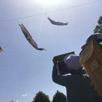 １年生と６年生合同で長良公園で春見つけ
