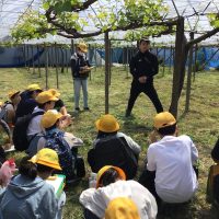 ６年生長良のまち探検（フィールドワーク）