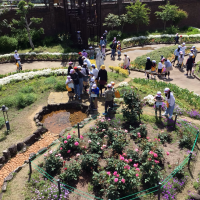 保護中: 長良公園で遊んできました！