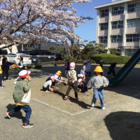 保護中: 仲間と共に楽しく活動しています。